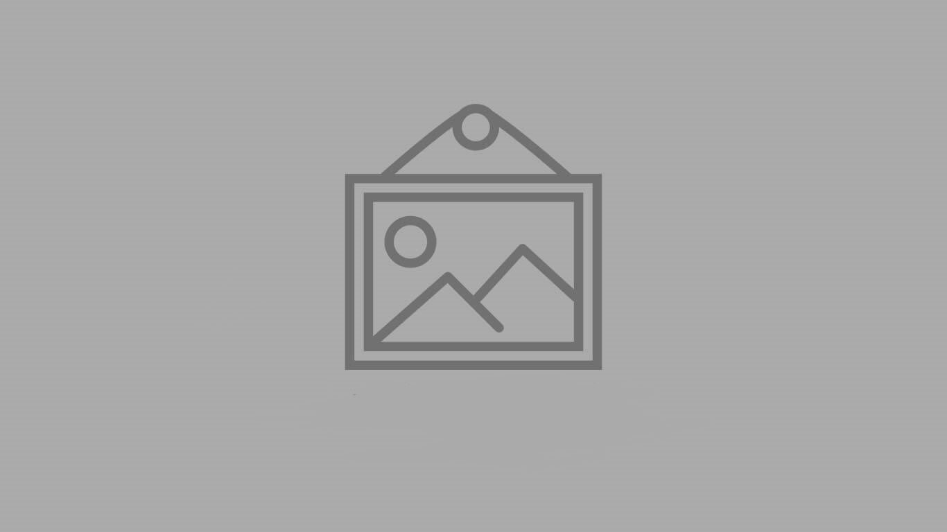 UX y sonido en Goldenbull Casino para sesiones más inmersivas y placenteras